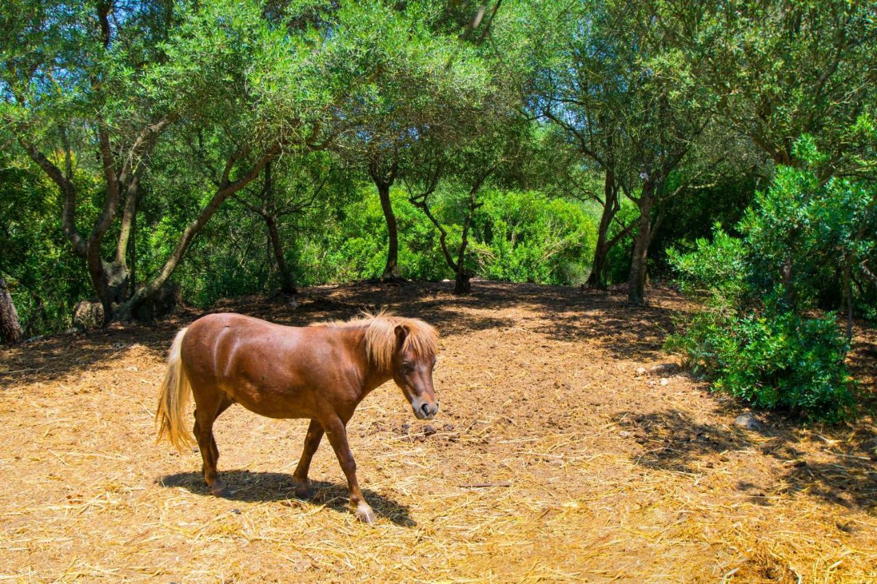 Finca Putxet D'En Robi Sineu By Mallorca Villa Selection Exterior foto